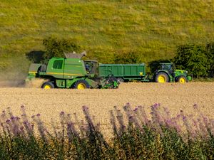 Supporting image for story: 'Family bequeathed farms should be exempt from inheritance tax' - Your Letters: December 28