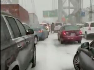 Supporting image for story: Snow in New York brings world’s busiest bridge to a standstill