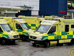 Supporting image for story