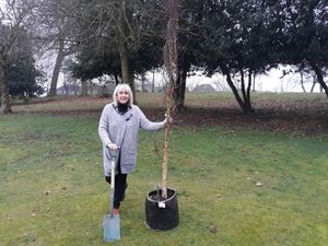Supporting image for story: Plans to invest £100,000 in planting more trees in Dudley
