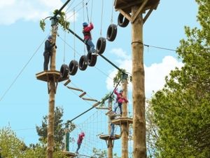 Supporting image for story: Tree Top Quest returns to Alton Towers