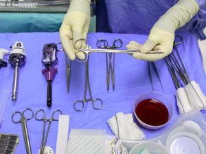 Supporting image for story: Record number for organ donations