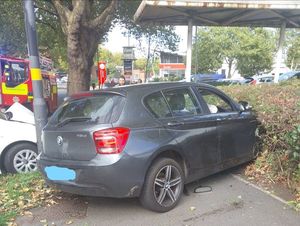 A stolen BMW came to rest in a hedge. 