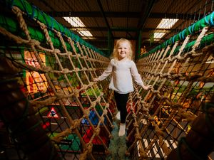 Supporting image for story: Delighted children return to the jungle as popular Telford attractions reopens