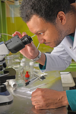 Dr Brian Johnston performs a cell count.