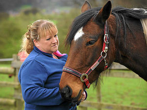 Supporting image for story: Horse rider hurt in Dudley accident urges driver of lorry to come forward