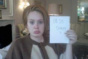 Supporting image for story: Adele cancels Wolverhampton concerts over illness