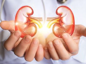 Supporting image for story: Breathing traffic-polluted air may damage kidneys, research suggests