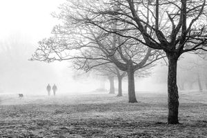 George Hughes took this stunning image in the park  