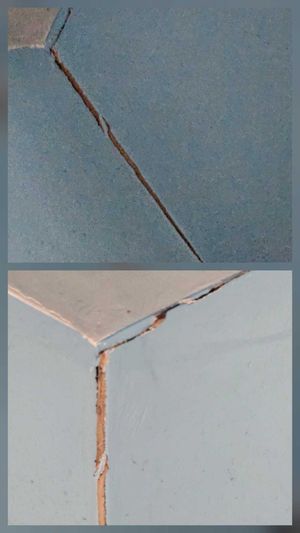 Cracks residents say are caused by trees roots in Newark Road. Picture Martyn Smith/LDRS free for LDRS use