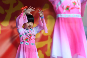 OCAS Overseas Chinese Association Schools at Chinese New Year Festival 2025
