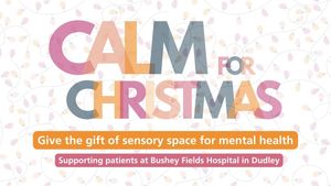 Calm for Christmas campaign 