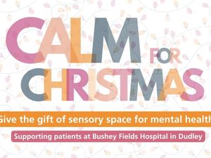 Supporting image for story: Calm for Christmas: Join Black Country Healthcare’s fundraising campaign to bring mental health sensory support to patients at Bushey Fields Hospital