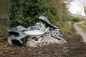 Recent fly-tipping on Bratton Lane in Shawbirch.