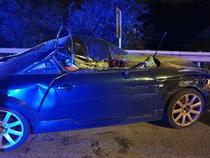 Supporting image for story: Driver somehow walks away with minor injuries after collision with HGV on the M6