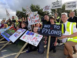 Supporting image for story: Victory in sight over Shropshire pylons battle