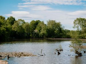 Supporting image for story: Council hopes to tackle air quality inequalities with new clean air strategy