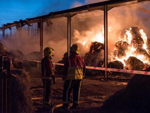 Supporting image for story: Farmer speaks of his devastation after his Halesowen land is hit by two fires in two days