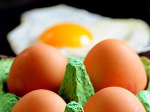 Supporting image for story: Risk of stroke may depend on type of food a person eats or avoids – study