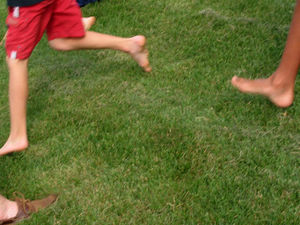 Supporting image for story: Poll: Do your children get any exercise?