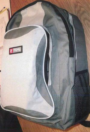 The bag used to store the cash