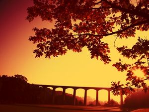 Supporting image for story: An exhibition on the custodians of the Dee Valley goes on display 
