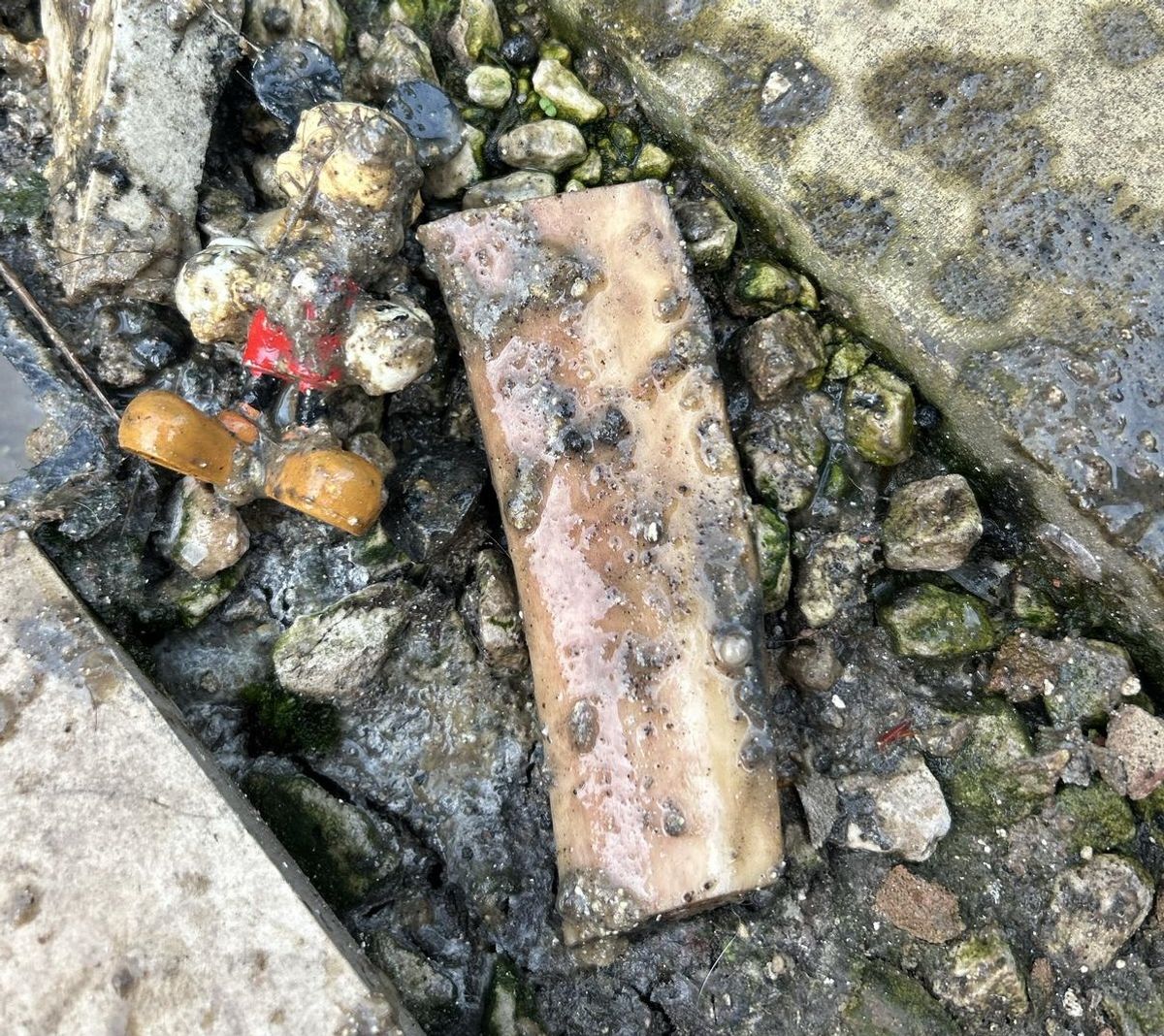 Mickey Mouse made a splash in the Severn Trent sewers, but thankfully didn’t cause a huge blockage