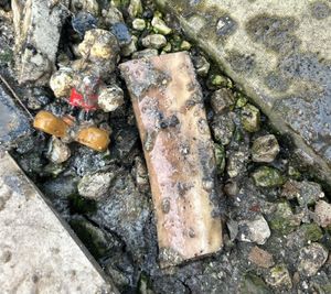 The Mickey Mouse toy that made its way through the sewers and was found by Severn Trent.