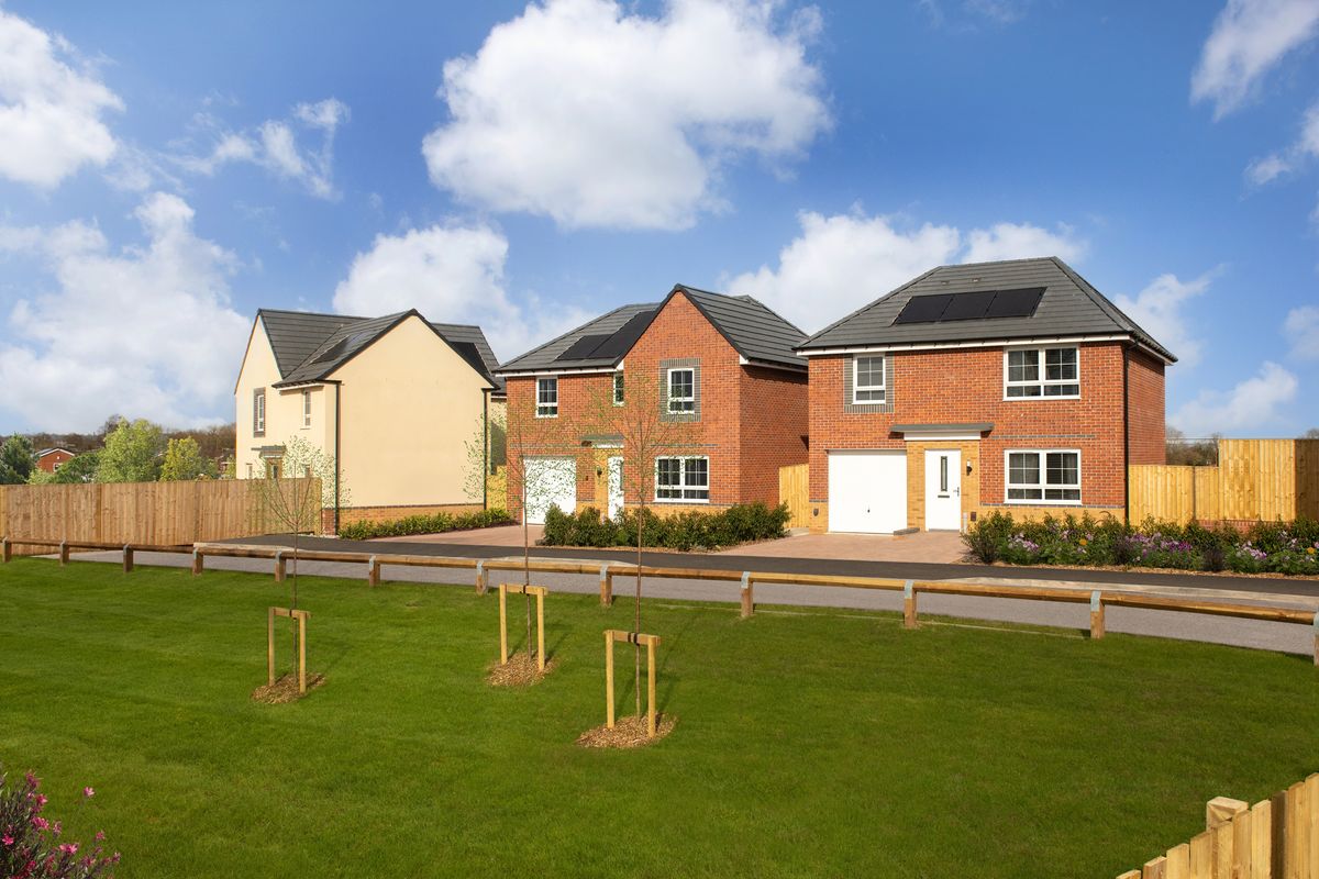 Explore autumn! Homebuilder and wildlife charity to host open walk for Staffordshire residents Explore autumn! Homebuilder and wildlife charity to host open walk for Staffordshire residents