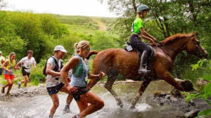 A previous man v horse race. Image by Peter Barnett