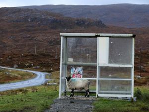 Supporting image for story: Bus funding down nearly £400m per year in past decade – report