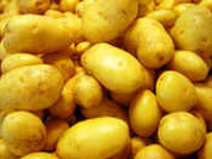 Supporting image for story: At the root of better spud crops