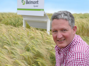 Supporting image for story: New hybrid raises the bar for UK barley yield