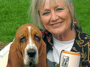 Supporting image for story: Shropshire fundraiser may be heading to House of Lords after all