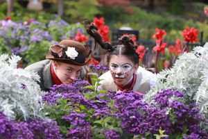 Shropshire Youth Theatre will be performing Alice in Wonderland in the Dingle for the event.