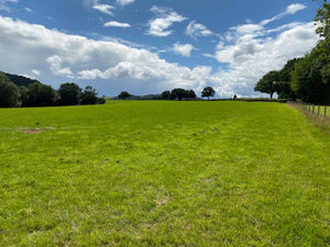 The land at Middle Westhope.
