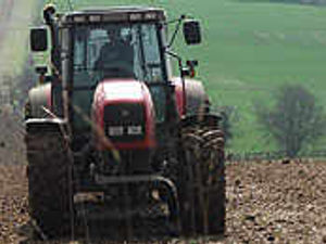 Supporting image for story: County farmers making a profit