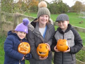 Supporting image for story: Final fling for carved pumpkins