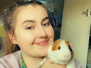 Supporting image for story: Unwanted pets left at Walsall animal sanctuary