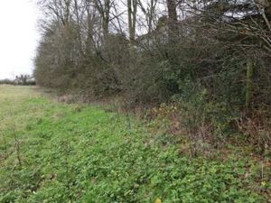 Supporting image for story: Artists will mark Offa’s Dyke Path golden milestone