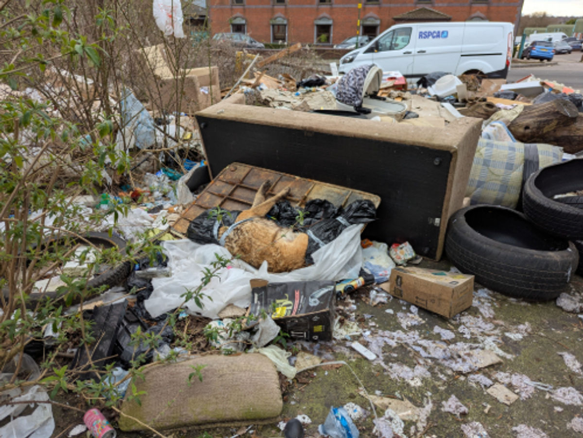 Body of dog found taped and wrapped in bin bags in Birmingham