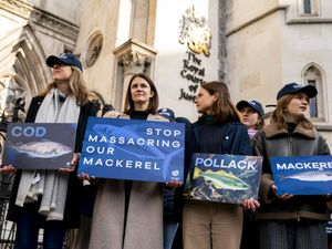 Supporting image for story: Government went against scientific advice in setting fishing quotas, court told