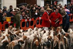 Supporting image for story: Hunts parade, but no riding on frozen ground