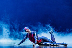 Cirque du Soleil OVO. Pictures by: Chris Bowley