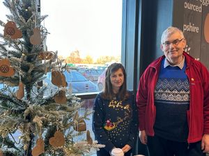 Supporting image for story: Trees of wishes help raise funds for good causes
