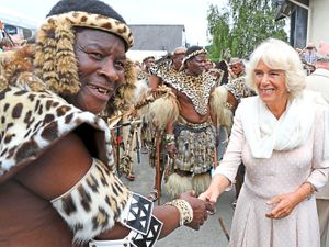 Supporting image for story: Royal Welsh Show counts cost of coronavirus shutdown