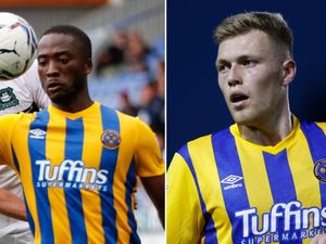 Supporting image for story: Steve Cotterill concentrating on getting his Shrewsbury Town strikers firing