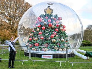 Supporting image for story: One-of-a-kind 25ft Christmas tree made from 10,000 balloons in the West Midlands aims to raise £100k for charity