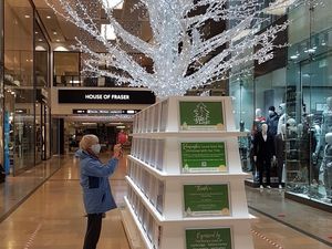 Supporting image for story: Telford Tree of Light appeal passes £28,000