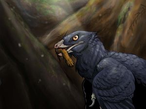 Supporting image for story: Scientists uncover ‘first record of a dinosaur eating a mammal’